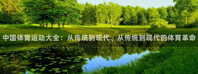 米兰体育官方正版app集团官网网址:中国体育运动大全:从传统