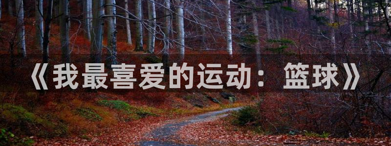 注册米兰体育官方正版app:《我最喜爱的运动:篮球》